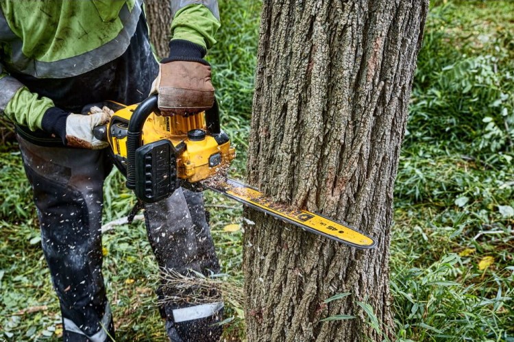 Piła łańcuchowa akumulatorowa DeWALT DCMCS574X1 zastosowanie
