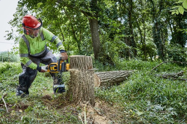 Piła łańcuchowa akumulatorowa DeWALT DCMCS574X1 zastosowanie