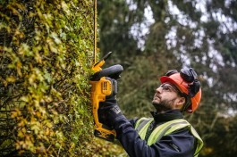 zastosowanie nożyc do żywopłotu DeWALT DCMHT563