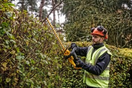 zastosowanie nożyc do żywopłotu akumulatorowych 18V DeWALT DCMHT563