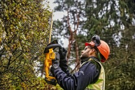 zastosowanie DeWALT DCMHT563