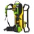 DeWALT DCPS310N