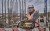Wibrator akumulatorowy PowerShif PowerPack DeWALT DCPS320