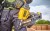 DeWALT DCN930
