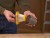STANLEY SFMCVH001B Odkurzacz bezprzewodowy 18V seria V20 body