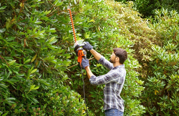 zastosowanie nożyc do żywopłotu sieciowych BLACK DECKER BEHTS401