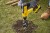Zastosowanie wiertnicy glebowej STANLEY SFMCS600B