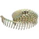 DeWALT Gwoździe galwanizowane 15° 3,05 x 25mm 7200szt. do DCN45RN / DPN46RN
