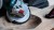 BOSCH Tarcza listkowa X451 zastosowanie