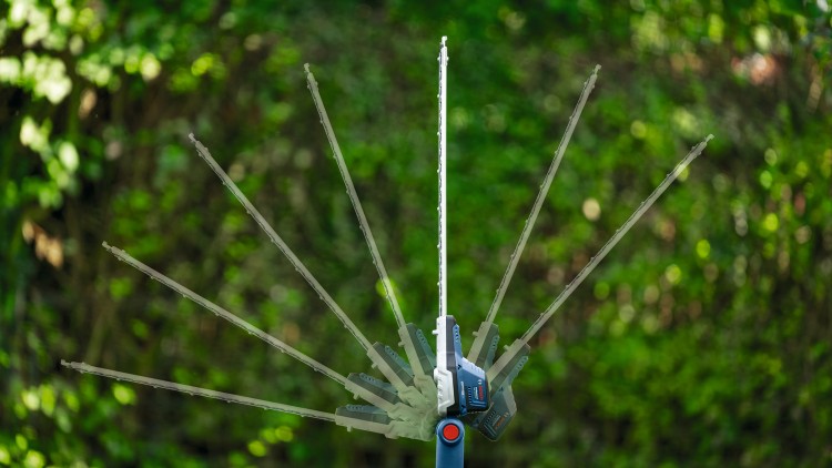 zastosowanie sekatora teleskopowego BOSCH 06008D5000