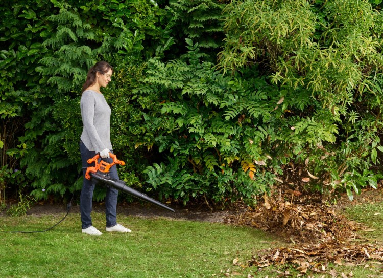 zastosowanie Black Decker BEBLV260