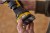 STANLEY SFMCW221B Szlifierka wielofunkcyjna 18V