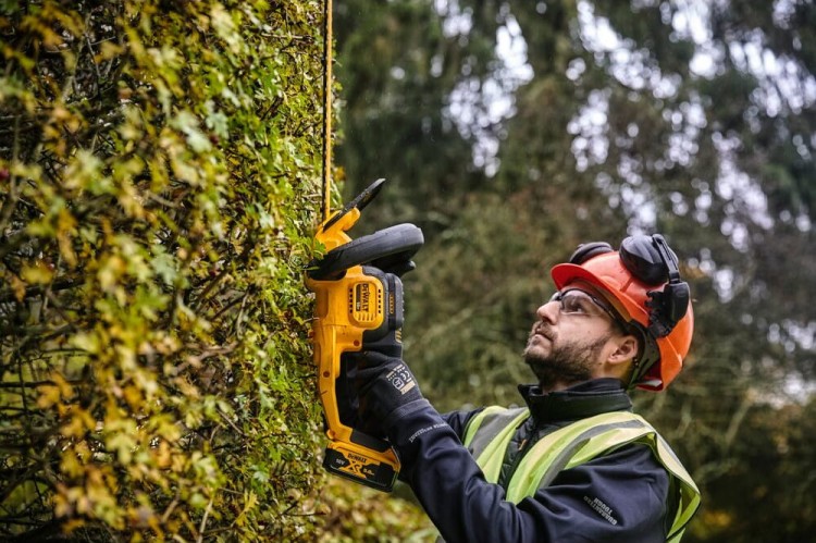 zastosowanie nożyc do żywopłotu DeWALT DCMHT563