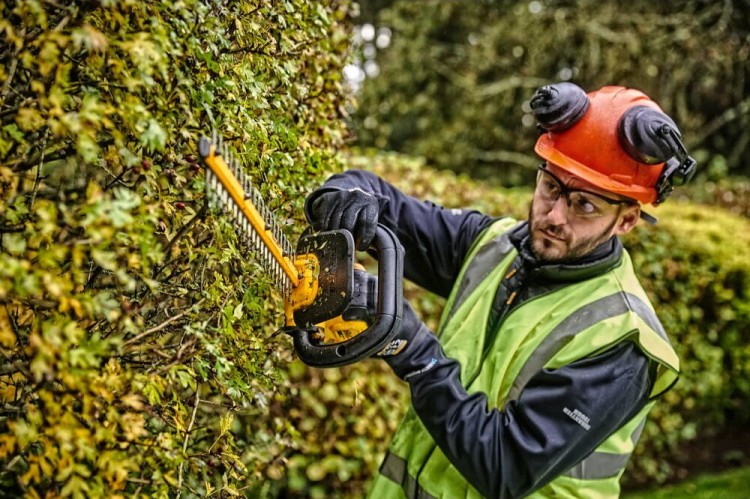zastosowanie nożyc akumulatorowych do krzewów  DeWALT DCMHT563