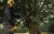 zastosowanie DeWALT DCMASPH6N