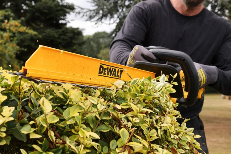 Zastosowanie nożyc akumulatorowych do żywopłotu DeWALT DCMHT567N