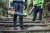 Zastosowanie dmuchawy do liści akumulatorowej plecakowej 54V XR DCMBBL800N DeWALT BODY
