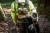 Zastosowanie dmuchawy  DCMBBL800N DeWALT