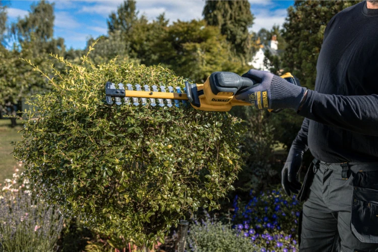 Zastosowanie  nożyc akumulatorowych do żywopłotu 18V XR 20cm DeWALT DCMHT520N BODY