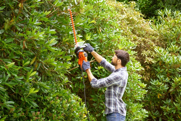 Zastosowanie nożyc do żywopłotu 50cm BLACK DECKER BEHTS301