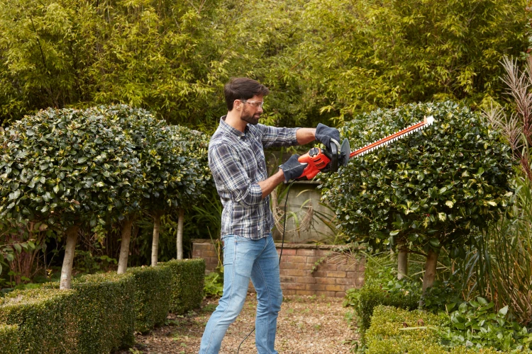 Zastosowanie nożyc do żywopłotu BLACK DECKER BEHTS301
