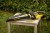 Zastosowanie nożyc do żywopłotu 55cm 18V BODY V20 Stanley STCHT8255B