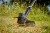 zastosowanie Podkaszarki Stanley V20 SFMCST925