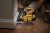 zastosowanie gwoździarki Dewalt DCN660