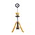 DEWALT DCL079