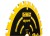 DEWALT DT10300 tarcza do drewna
