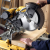 DEWALT DT4260 tarcza podczas pracy