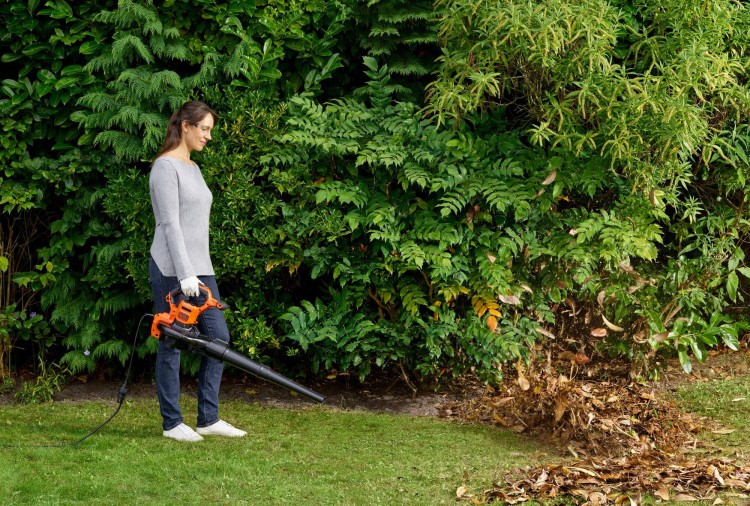 zastosowanie dmuchawy do ogrodu Black Decker BEBLV300