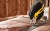 DEWALT DWHT10429