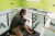 BOSCH 0601076800