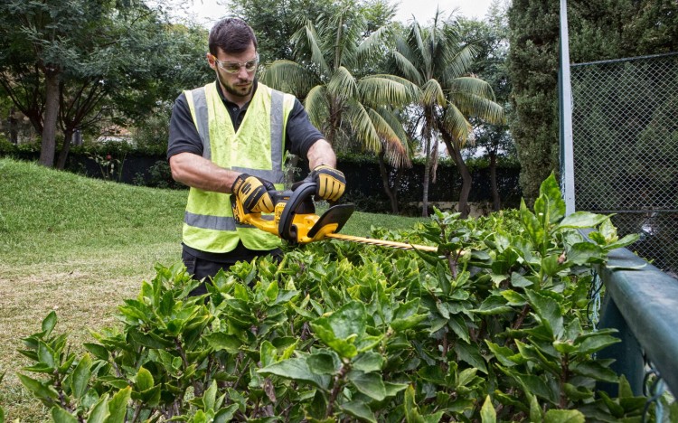zastosowanie nożyc do żywopłotu akumulatorowych DEWALT DCM563PB
