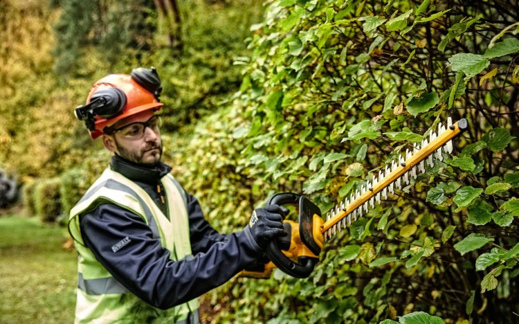 zastosowanie nożyc do żywopłoty DEWALT DCMPH566