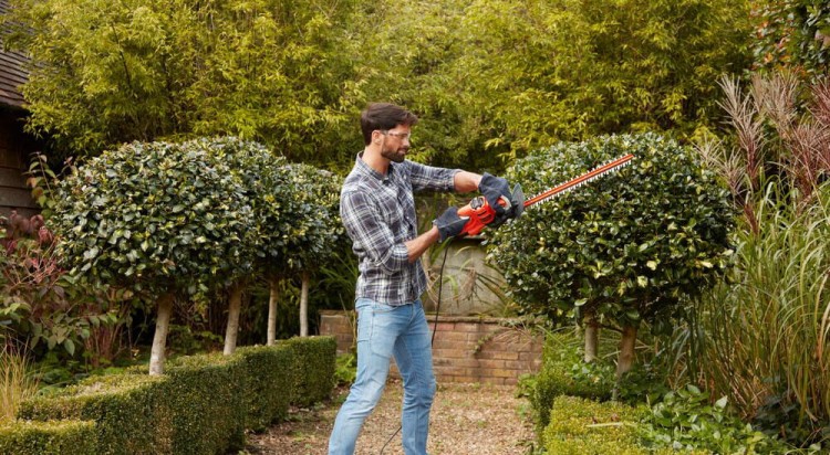 zastosowanie nożyc do żywopłotu BLACK DECKER BEHT201