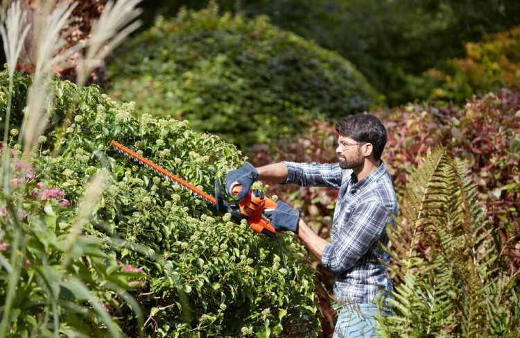 zastosowanie nożyc do krzewów BLACK DECKER BEHT201
