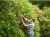 zastosowanie BLACK DECKER BEHT201