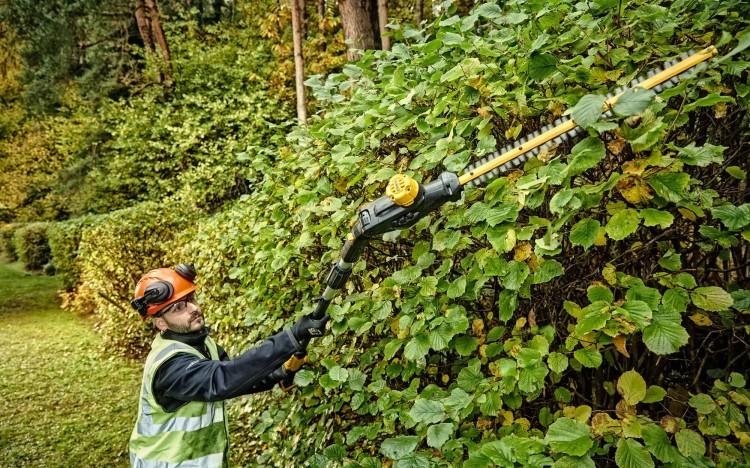 zastosowanie nożyc do żywopłoty akumulatorowych 18V DEWALT DCMPH566