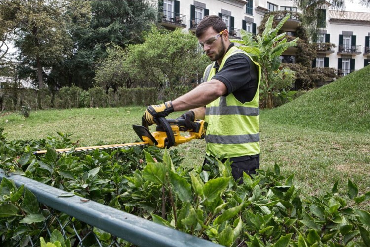 zastosowanie nożyc do żywopłotu akumulatorowych DEWALT DCM563PB