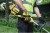 DEWALT podkaszarka akumulatorowa 18V