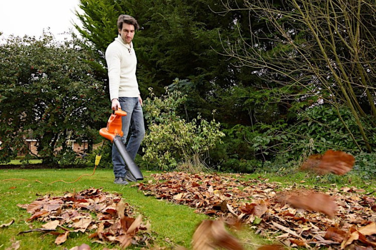 zastosowanie BLACK DECKER GW3030