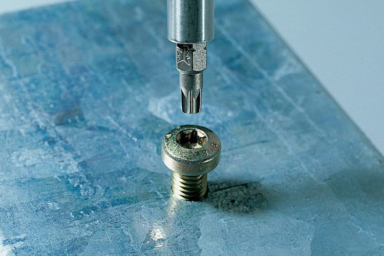 Zestaw końcówek TORX T 6/7 25mm 2szt.