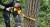 DEWALT DCMCS574N Piła łańcuchowa FlexVolt 45cm