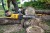 DEWALT DCMCS575X1 Pilarka łańcuchowa 50cm