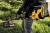 Zastosowanie DCMAS5713X1 DEWALT