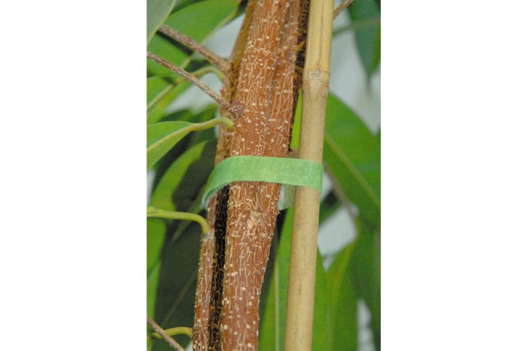 Taśma na rzep WOLFCRAFT 3285000