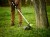 GREENWORKS GD60LT Podkaszarka 60V akumulatorowa "body" GR2108307