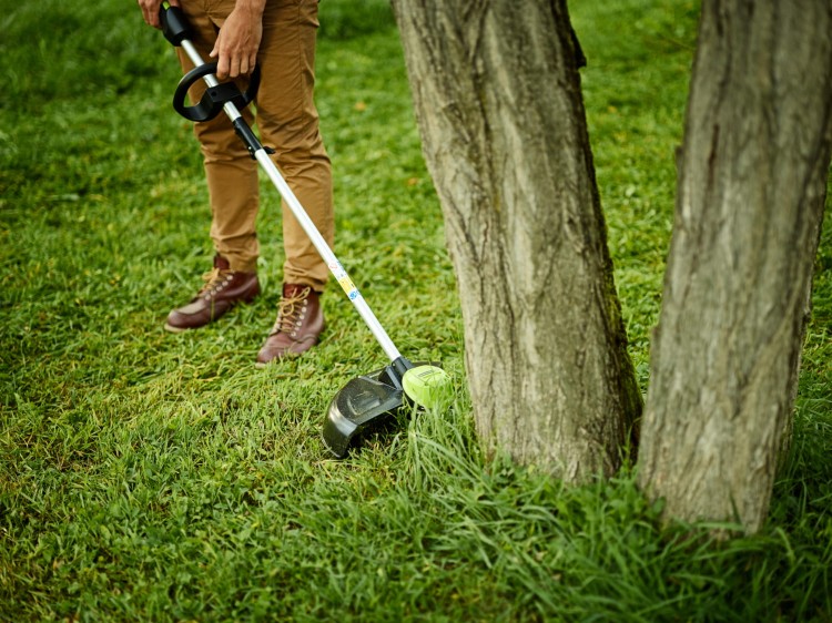 GREENWORKS GD60LT